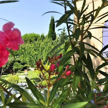 Le Mazet Des Mures Panzió Grimaud